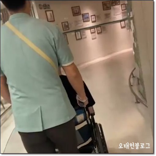  태국에서 뎅기열 걸린 썰, 뎅기열, 태국 병원 진료, 일본인 병원