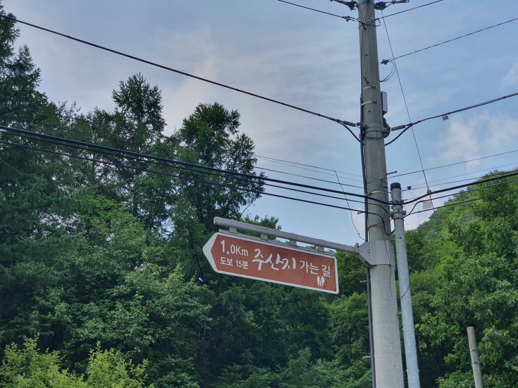  청송 여행 - 주왕산 전망대, 주산지, 청송 얼음골, 옥계 계곡, 절골계곡