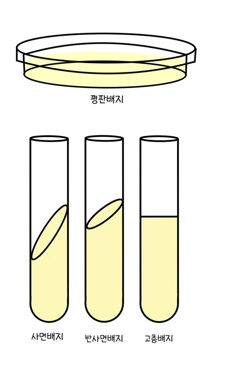 배지 : 네이버 블로그