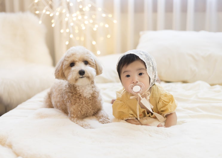  안암동스튜디오 추천 ! 애개사진은 파비에스튜디오에서