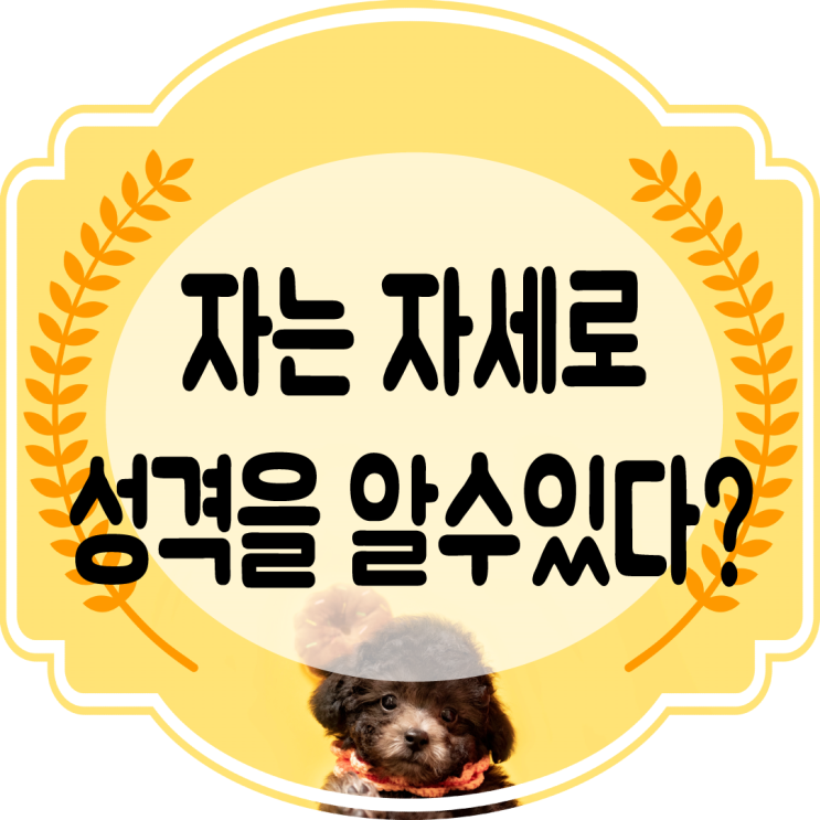  강아지 자는 자세로 성격을 알아보자~!!