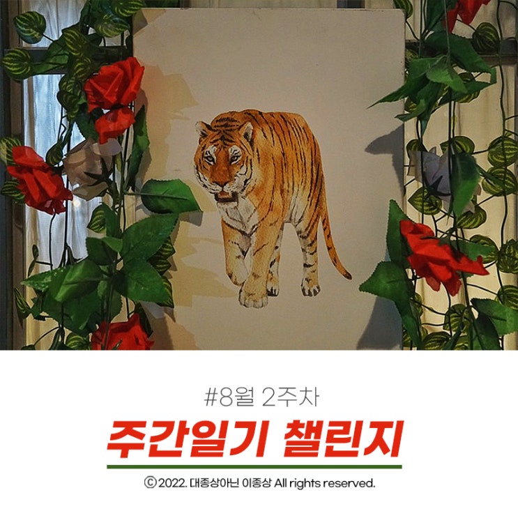  [주간일기 챌린지 & 8월 2주차] 비가 많이 오진 않았지만 너무 습해서 힘들었던 한주