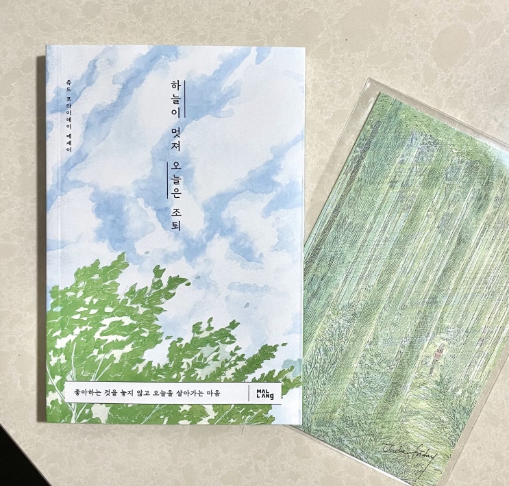  blog :: 주간일기 챌린지 / 으악 죽겠다!