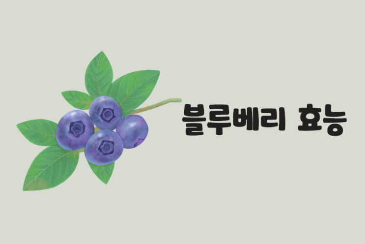  블루베리효능