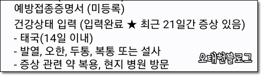  태국에서 뎅기열 걸리고 한국으로 도망치기 / 뎅기열 한국 귀국, 발열 비행기 한국 귀국