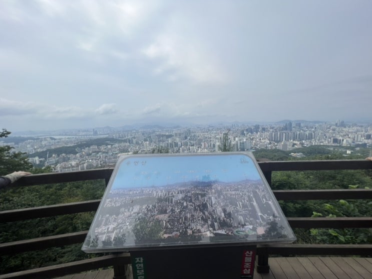  일상일기_봉은모임, 우면산, 먹부림, 모바일운전면허증