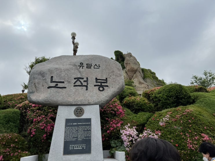  전라남도 먹거리 모녀 여행 : ) 순천 고흥 장흥 강진 목포 6/1~6/3 셋째날