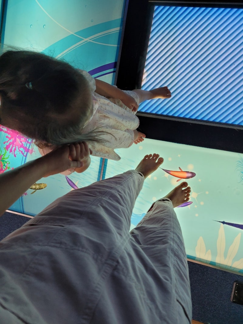 경기도 아이랑 가볼만한 곳 - 경기도융합과학교육원 : 네이버 블로그