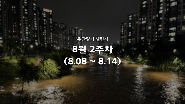 #주간일기 <b>챌린지</b> / 8월 2주차 - 폭우, 모임, <b>술병</b>