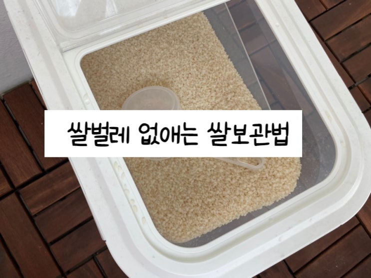 쌀벌레 없애는법 쌀보관법 페트병 사용하고 있다면