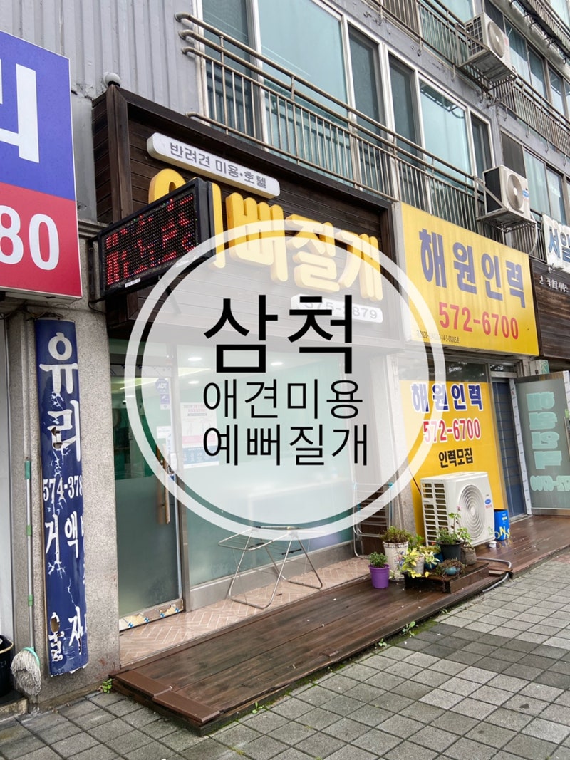 예뻐질개