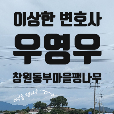  '이상한 변호사 우영우' 마지막 화를 앞두고 다녀왔습니다 ; 창원 동부마을 우영우 팽나무