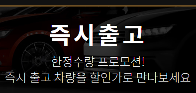  기다리지 않는 즉시 출고 차량