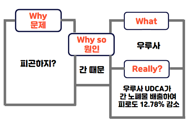  [약국을 위한 책 리뷰] 기획의 정석