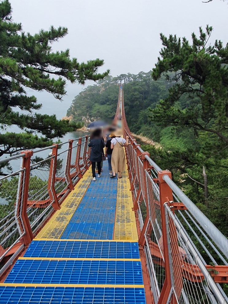  울산 가볼만한 곳, 울산 동구 대왕암공원 출렁다리 소개 (흔들다리 무료 이용기간, 운영시간 및 휴무일, 주차 정보 포함)
