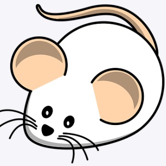  쥐꿈해몽 쥐꿈풀이 - 생쥐꿈 쥐잡는꿈 쥐달려드는꿈 쥐무는꿈 쥐가방에있는꿈 쥐가득한꿈 쥐보는꿈 쥐둑이는꿈 쥐먹는꿈 쥐꿈해몽 쥐꿈풀이 총모음