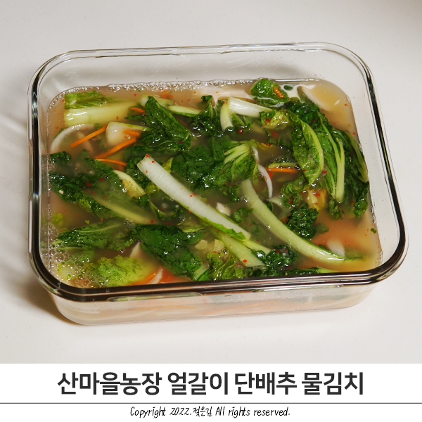 여름 반찬추천 산마을농장 얼갈이 단배추물김치 시원하고 깔끔해요 여름 반찬추천 산마을농장 얼갈이 단배추물김치 시원하고 깔끔해요
