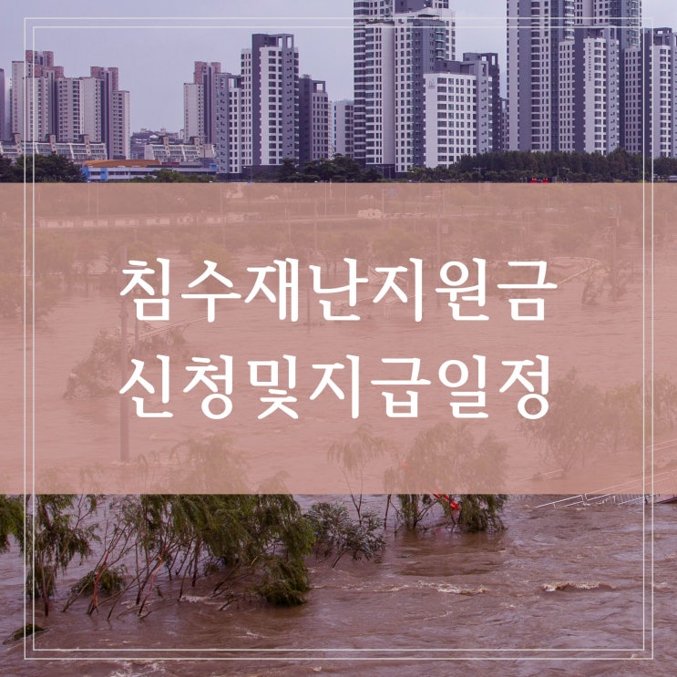 침수 재난지원금 집주인 세입자 신청 방법과 지급 일자는 언제일까 (피해 현장 사진촬영)
