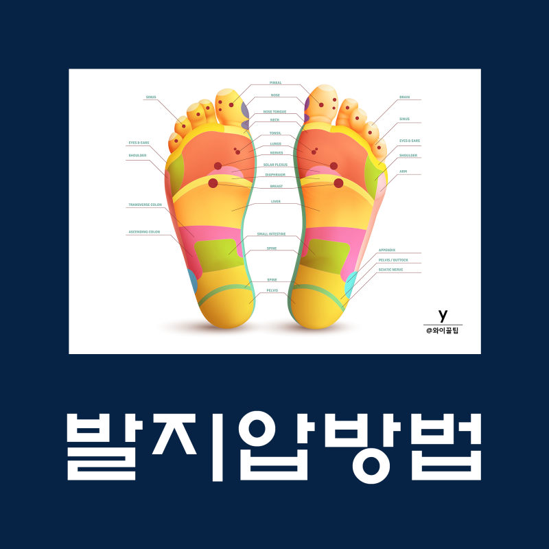 발지압점 14부위! 지압점 부위별 발지압 발바닥 발 마사지 효과 지압슬리퍼 : 네이버 블로그