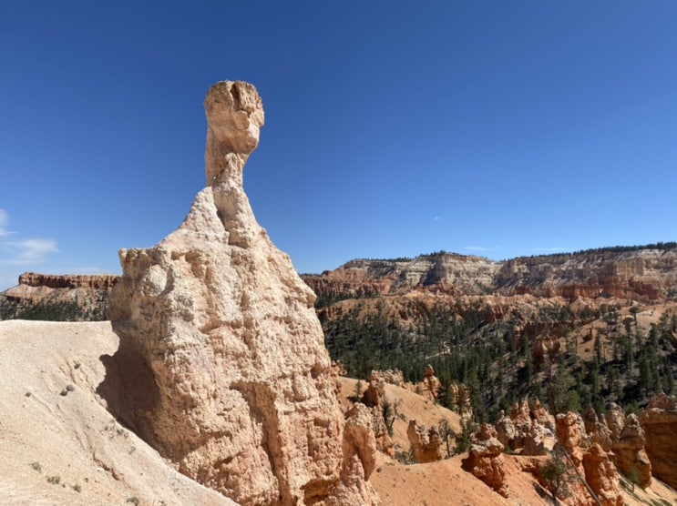  [미국 그랜드써클 여행2] Bryce Canyon National Park(브라이스 캐년 국립공원)