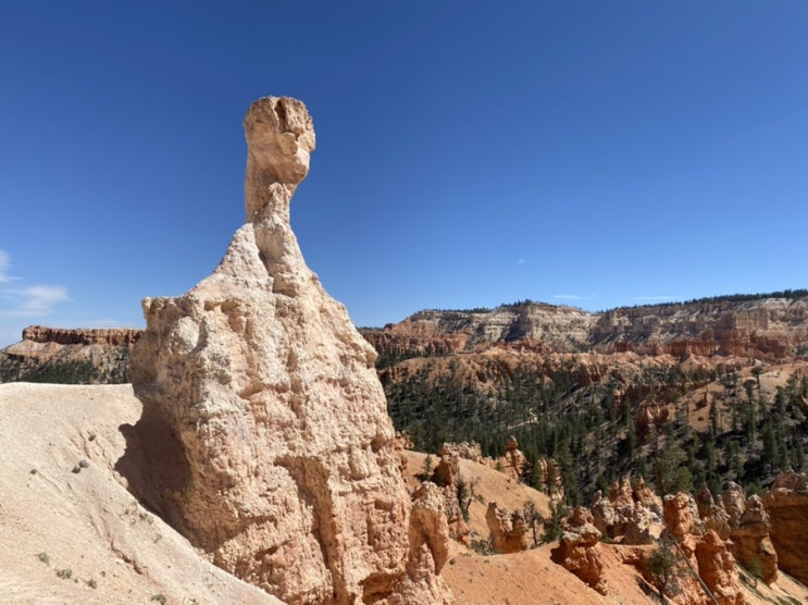 [미국 그랜드써클 여행2] Bryce Canyon National Park(브라이스 캐년 국립공원)