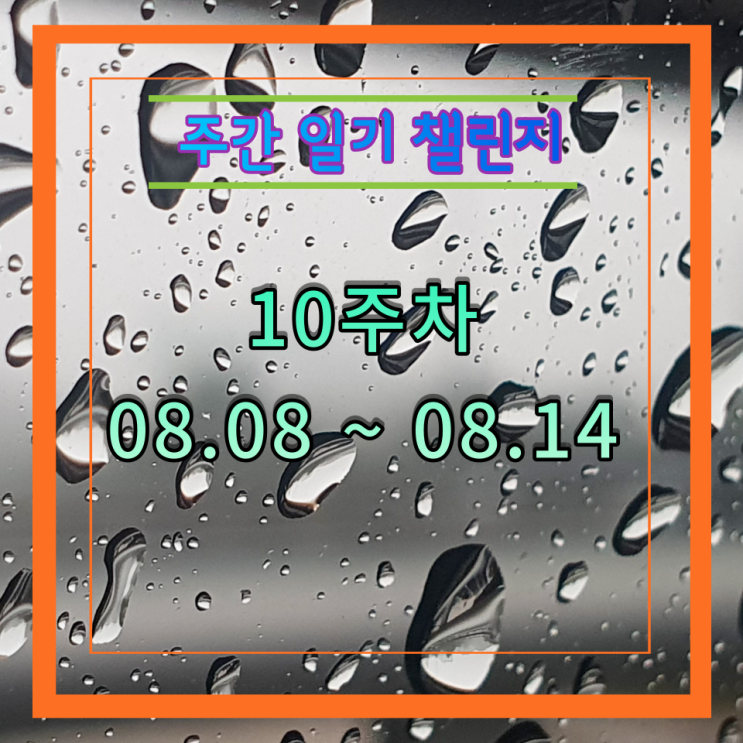 주간일기 챌린지, 8월 2주(8월 8일 ~  8월 14일)
