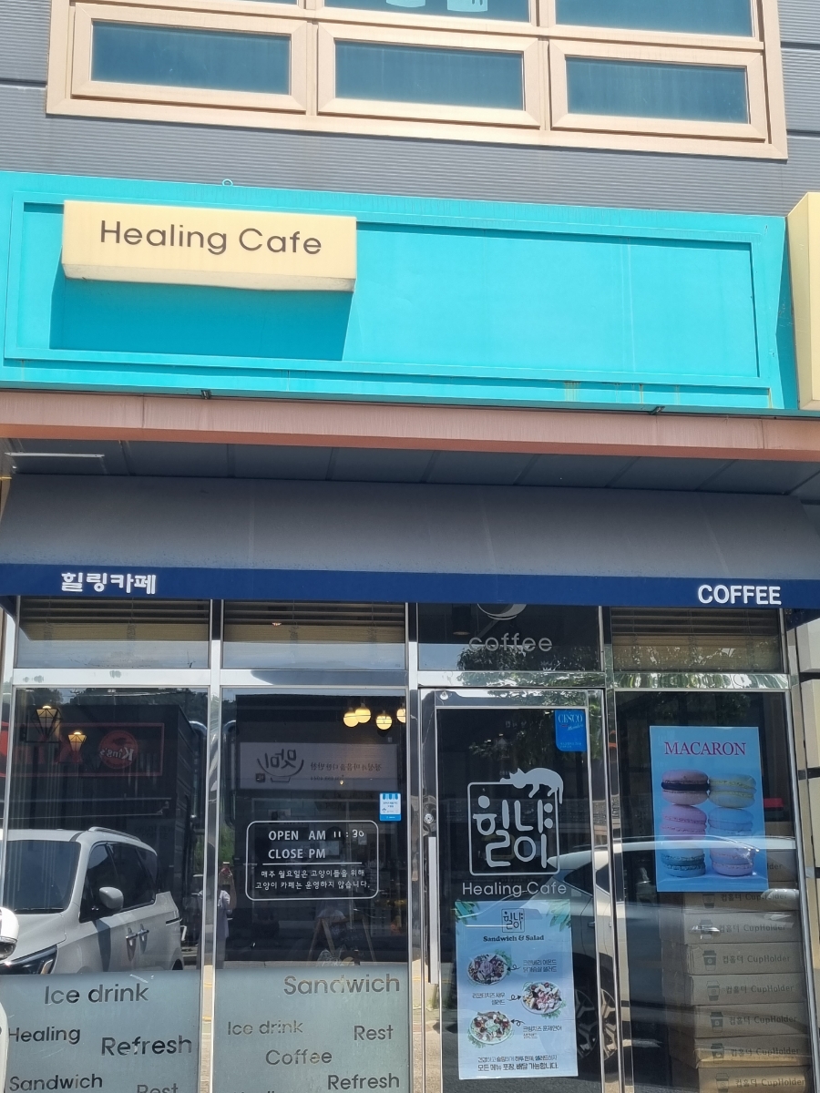 힐냥이 사진 2