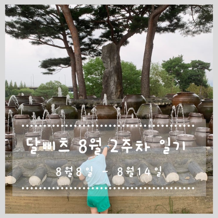  8/8 - 8/14 달삐츠 추간일기