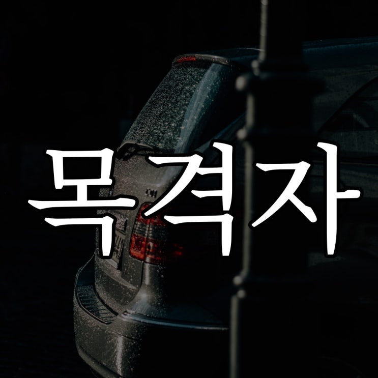 목격자를 찾습니다. / 짧은 공포 이야기