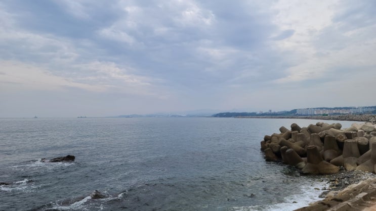  동해숙소 망상 제2오토캠핑장 카라반 솔직 이용후기