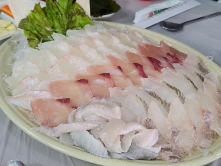  묵호항 맛집 가성비 좋은 묵호횟집 청해수산