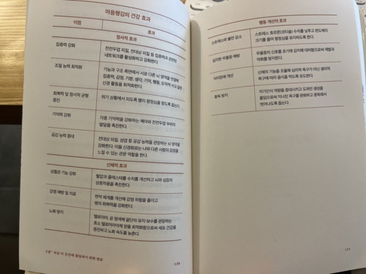  마음챙김이 일상이 되면 달라지는 것들 _ 캐럴라인 웰치