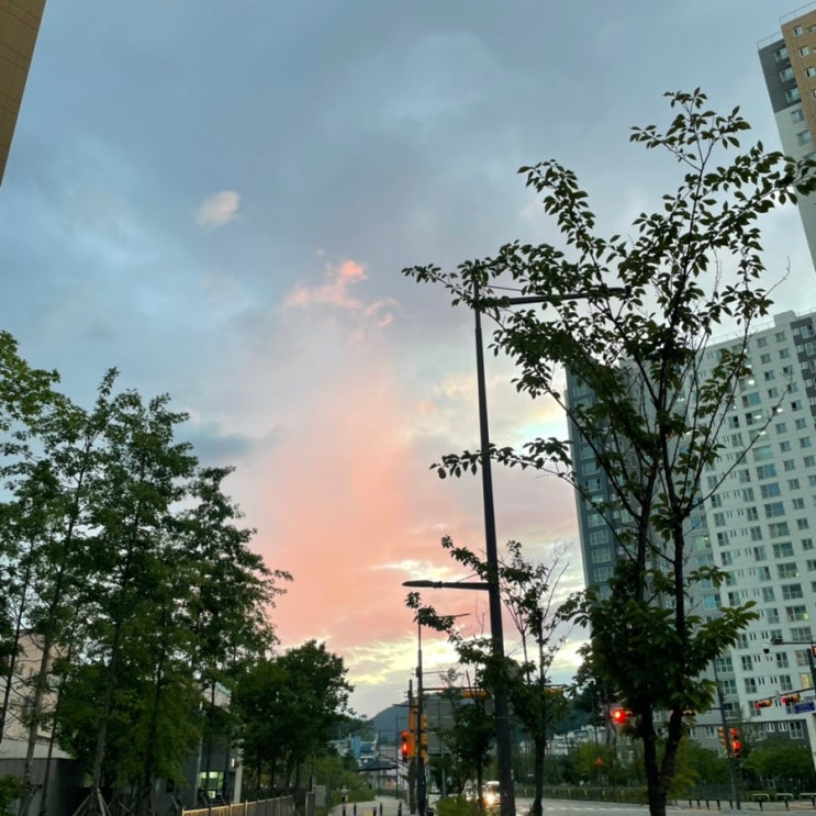 컴백