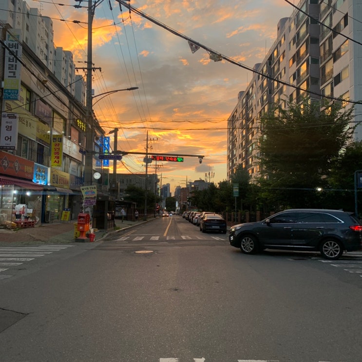  친구네랑 다녀온 즐거운 물놀이