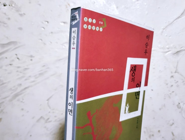 생의 이면 - 이승우