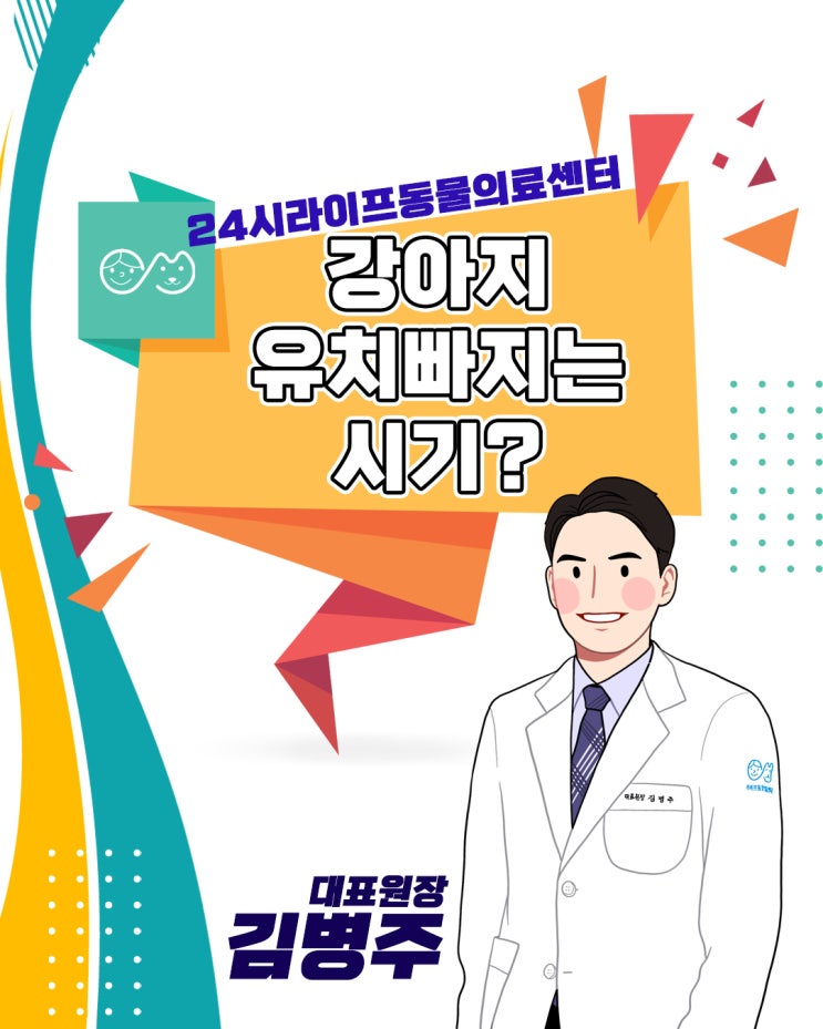 강아지유치빠지는시기? 유치에 관한 궁금증, 미리미리 알아두자! : 대구24시동물병원 강아지유치빠지는시기? 유치에 관한 궁금증, 미리미리 알아두자! : 대구24시동물병원
