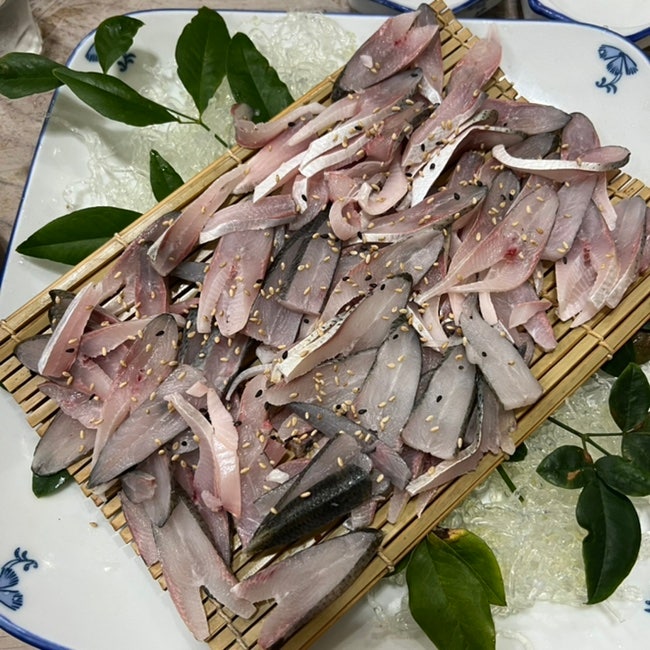  단골 광주역맛집 가을 전어회 광주 횟집 완도청정바다
