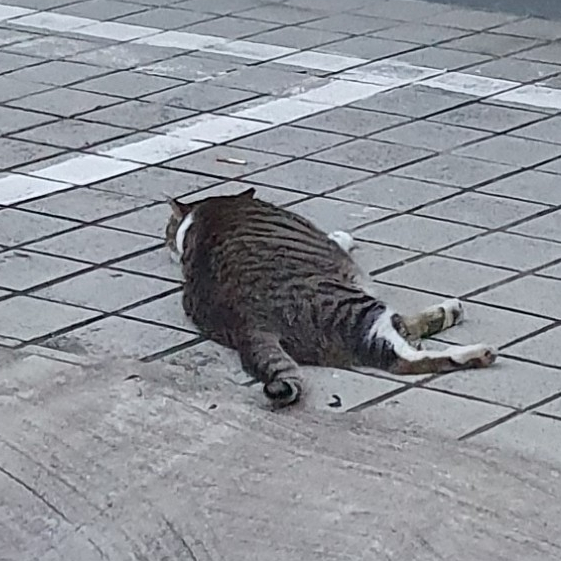  #주간일기 8월 둘째 주