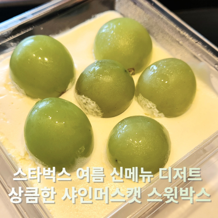  스타벅스 여름 신메뉴 디저트 상큼한 샤인머스캣 스윗박스