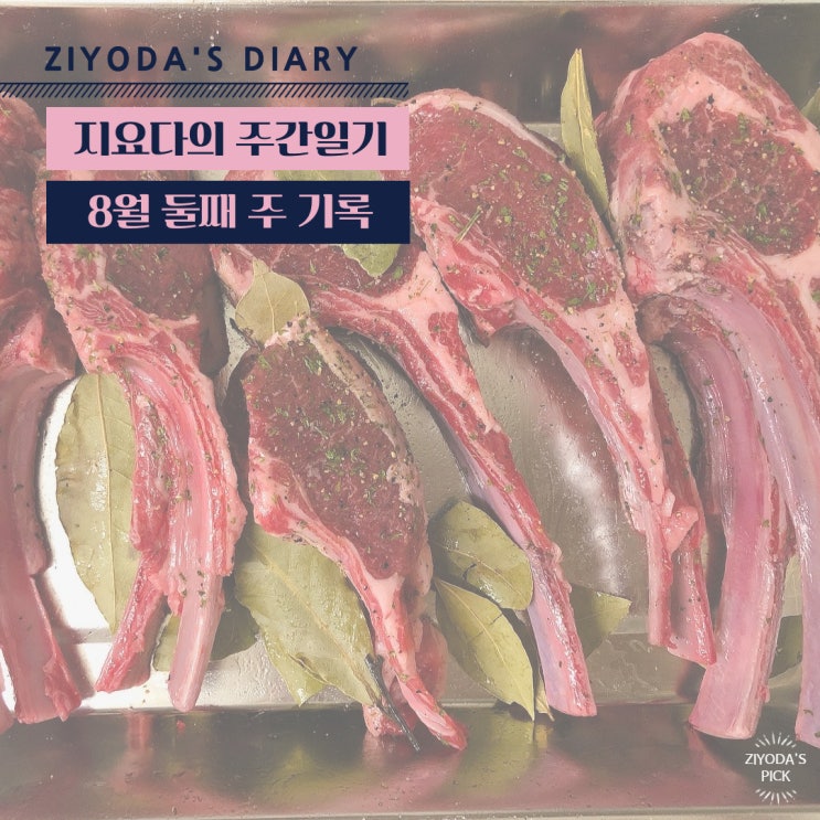  8월 둘째 주 기록 (8/8~8/14_육류 과다복용 주간)