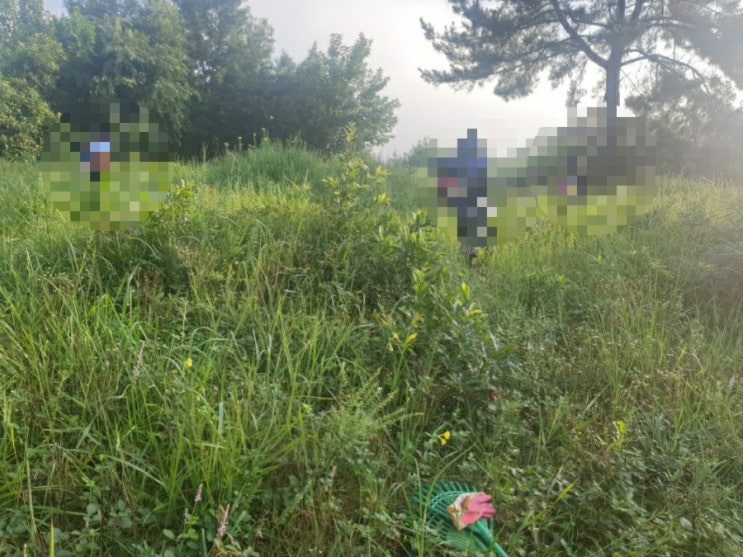 2022년 경상북도 성주군 벽진면 가암리 벌초대행 고인돌장묘개발 #벌초대행 #벌초 #추석벌초 #김천벌초 #선산벌초 #구미벌초 #성주벌초 #거창벌초 #왜관벌초 #칠곡벌초 #대구벌초