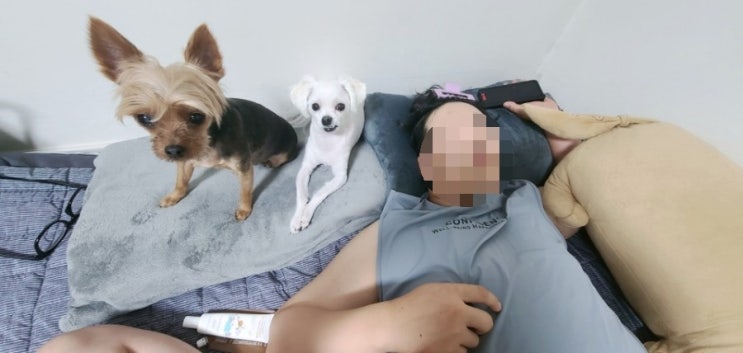  하루하루가 길다 !!