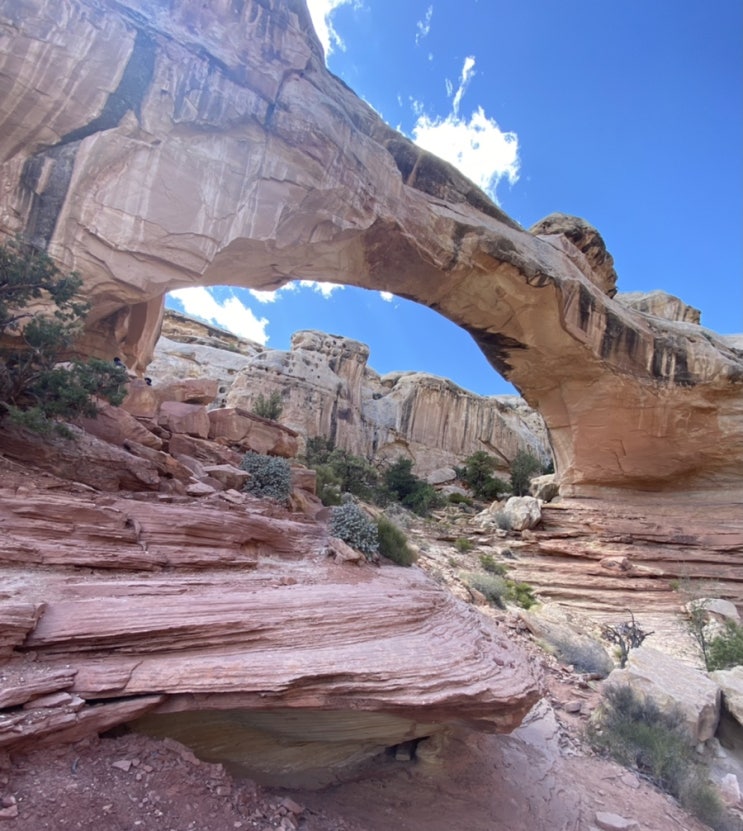  [미국 그랜드써클 여행3]Capitol reef, Canyon lands (캐피톨리프, 캐년랜드)