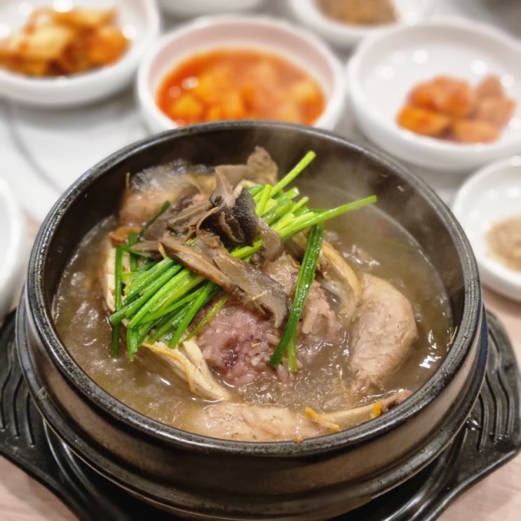 강남구청역 삼계탕 - 기와집 능이백숙삼계탕 해천탕 든든해요! (논현동 보양식)