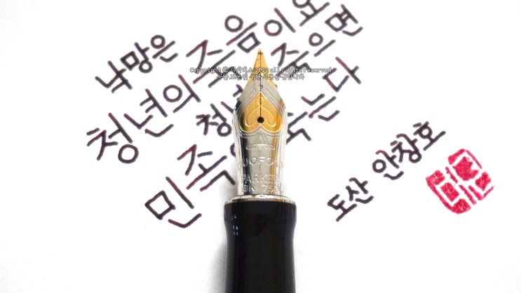  청년이 죽으면 민족이 죽는다 (ft. 파카 듀오폴드 센테니얼 F닙 만년필 실제 사용 영상)