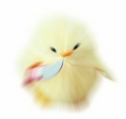  누칼협