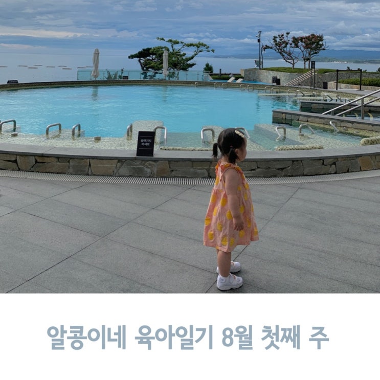  알콩이네 육아일기 8월 첫째 주, 18개월 아기와 여름휴가 보내기