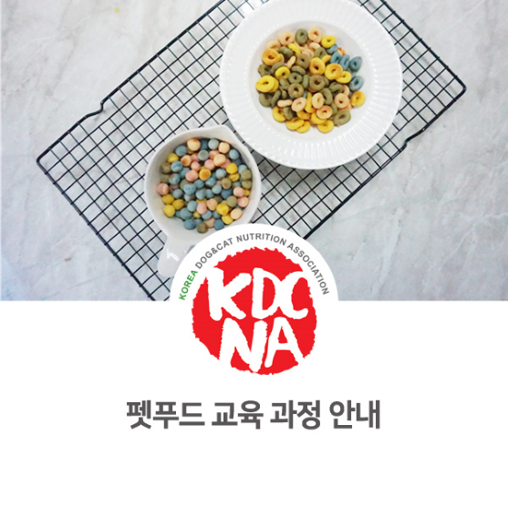  한국반려동물영양협회 반려동물 펫푸드 자격증 교육 안내 [박은정펫푸드아카데미/애견수제간식창업/강아지화식/서울/부산/대전_982]