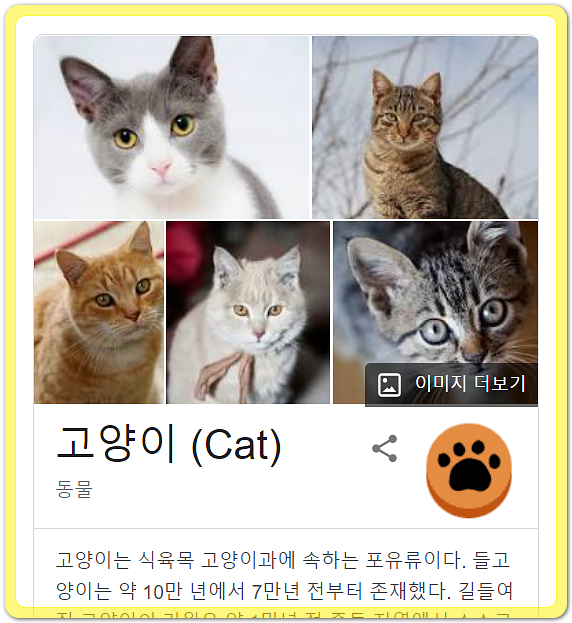 [구글 검색창 재미있는 기능] 구글에서 'cat'을 검색해보세요