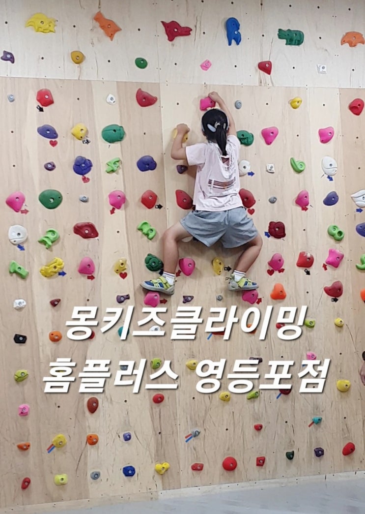  문래/ 영등포 몽키즈클라이밍 키즈클라이밍 체험 (가격, 시간표)